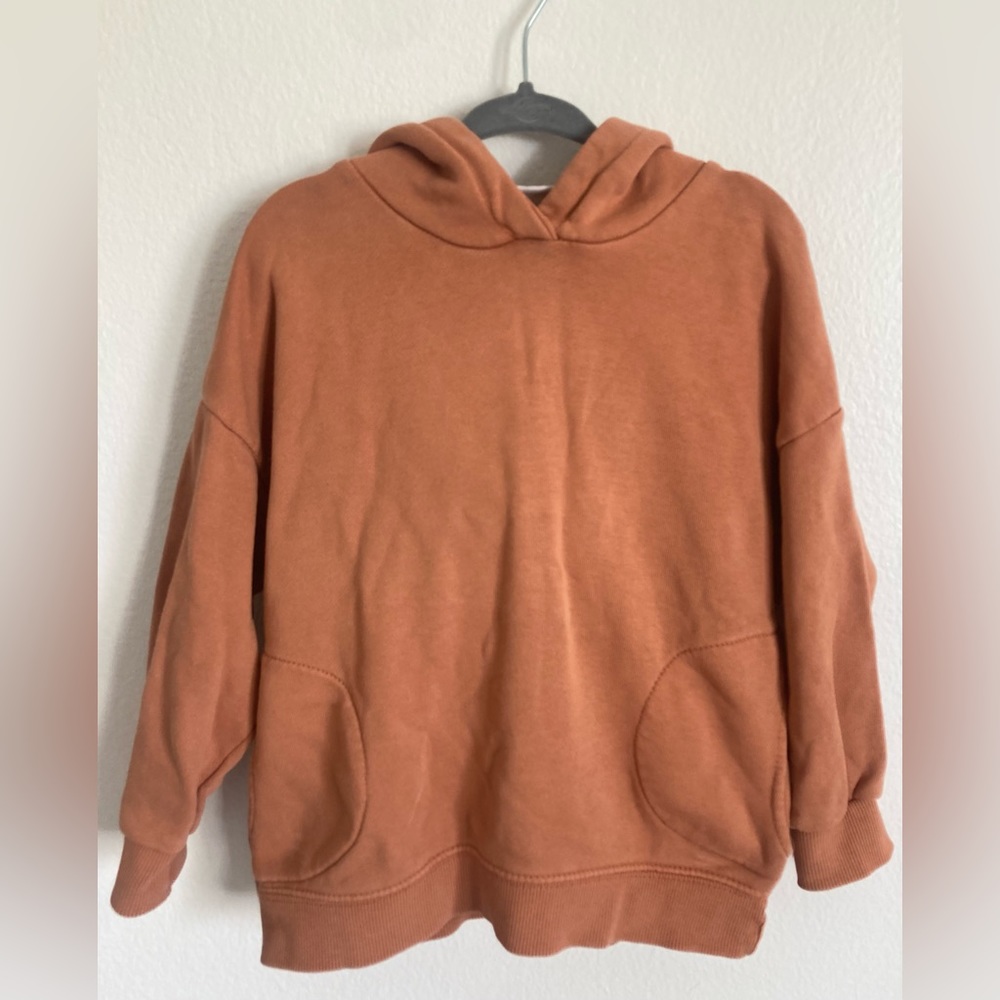 Zara Sweatshirts (Lot of 2) 2T-3T